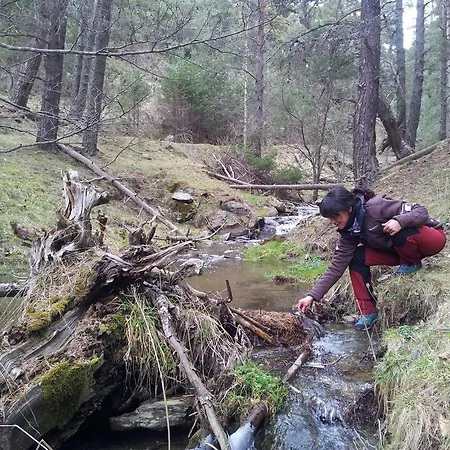 Xalet Refugi Pere Carne Hostel *