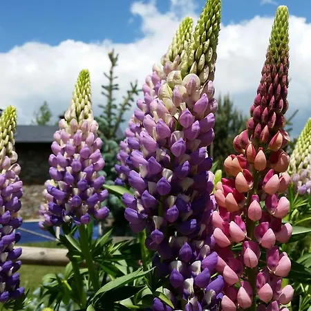 Xalet Refugi Pere Carne